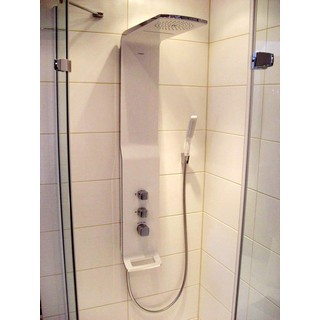 Душевая панель Hansgrohe Raindance Lift 27008400