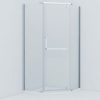 Душевой уголок IDDIS Steel STE8SS0i23 100х100 см, сатин