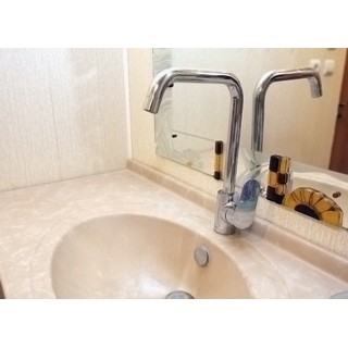 Смеситель Hansgrohe Focus 31820000 для кухонной мойки